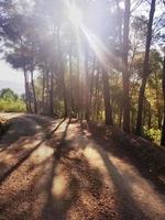 imbarcarsi su un avventura navigare il avvolgimento ghiaia strada attraverso maestoso montagne foto