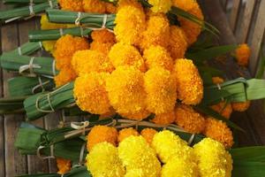 calendule, loto fiori siamo portato per pagare omaggio per il signore buddha. foto