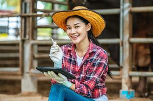 asiatico giovane contadino donna seduta e grazie mentre Lavorando con tavoletta pc computer e mucche nel stalla su latteria azienda agricola. agricoltura industria, agricoltura, le persone, tecnologia e animale allevamento concetto. foto