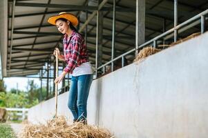 ritratto di contento giovane asiatico contadino donna radicale pavimento a mucca azienda agricola. agricoltura industria, agricoltura, le persone, tecnologia e animale allevamento concetto. foto