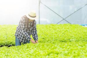 donna con cappello esaminando le verdure in una serra