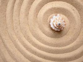 conchiglia nel cerchi su il sabbia. zen concetto. spirale nel il sabbia foto
