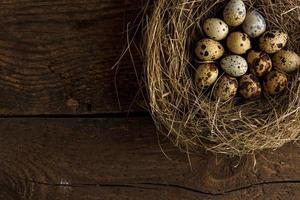 fresco Quaglia uova nel un' nido su un' di legno sfondo foto