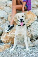 donna con un' cane su un' camminare su il spiaggia foto