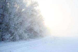 strada a il inverno paesaggio nel il foresta foto