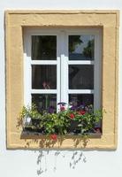 Melk cittadina negozio finestra con fiori foto