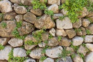 struttura di vecchio pietra parete e verde impianti foto