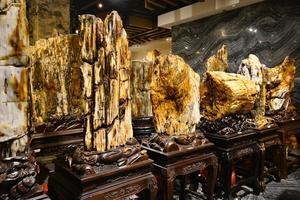 il molto prezioso silicizzato legna nel xinjiang originato a partire dal il giurassico periodo e era fatto in un' raro Bonsai foto