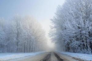 strada a il inverno paesaggio nel il foresta foto