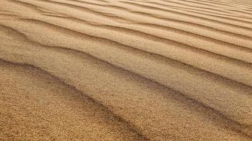 bene deserto sabbia nel il giorno. foto