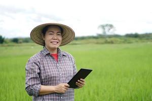 asiatico donna contadino è a risaia sparato, indossare cappello e plaid camicia, hold inteligente tavoletta per ispezionare crescita e malattie di impianti. concetto , inteligente contadino, uso tecnologia nel agricoltura. foto