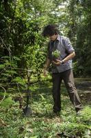 ispanico uomo piantare un' piccolo pianta nel un' verde campo circondato di alberi durante un' soleggiato giorno foto