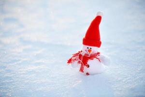 contento pupazzo di neve in piedi nel inverno Natale paesaggio.neve sfondo foto