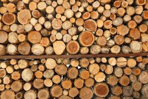 mucchio di legna logs Conservazione per industria foto