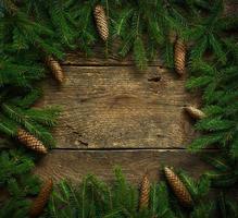 Natale albero rami con coni su di legno struttura pronto per il tuo design foto