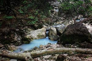 paesaggio forestale con ruscello che si muove attraverso le rocce in un piccolo stagno foto