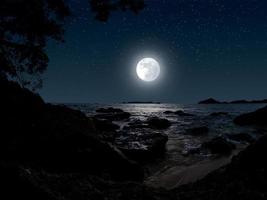 bellissimo calma notte a spiaggia con alberi, rocce, Luna e stelle foto