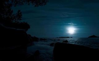 bellissimo calma notte a spiaggia con alberi, chiaro di luna e rocce foto