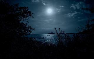 pieno Luna al di sopra di bellissimo oceano. spiaggia notte scena foto
