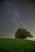 un' collina con un' albero nel il cielo voi può vedere il latteo modo foto