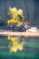 giallo alberi riflettendo nel un' nebbioso lago foto