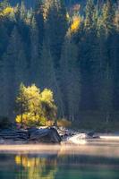 un' nebbioso montagna lago nel il mattina foto