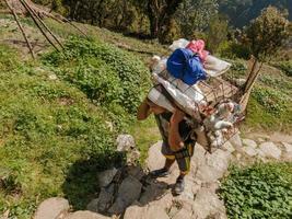 chomrong, Nepal - aprile 2015. un' nepalese facchino trasporta un' filo maglia cestino di pollame su il suo indietro su il ripido le scale di un' pendio su il annapurna base campo pista nel il Nepal himalaya. foto