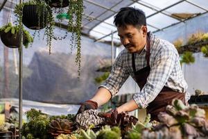 asiatico giardiniere è Lavorando dentro il serra pieno di succulento impianti collezione mentre controllo sotto foglia per peste e malattia per ornamentale giardino e tempo libero passatempo concetto foto