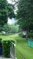 il tram Visualizza con il verde alberi e ferro pista nel il città foto