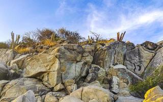 montagna panorama scogliere rocce collinoso tropicale paesaggio puerto escondido Messico. foto