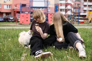 Due divertente ragazze siamo mangiare ghiaccio crema e giocando con un' volpino cane. foto