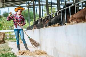 ritratto di contento giovane asiatico contadino donna radicale pavimento a mucca azienda agricola. agricoltura industria, agricoltura, le persone, tecnologia e animale allevamento concetto. foto