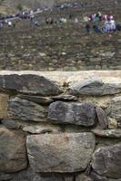 colossale santuario di ollantaytambo in perù foto