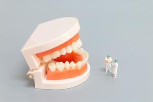 dentista in miniatura che ripara i denti umani con gengive e smalto, salute e concetto medico foto