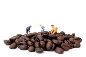 persone in miniatura che lavorano con chicchi di caffè tostato su uno sfondo bianco, concetto di tempo del caffè foto