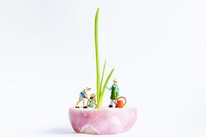 giardinieri in miniatura la raccolta di cipolline su uno sfondo bianco, il concetto di agricoltura foto