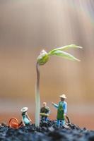 giardinieri in miniatura che si prendono cura dei germogli in crescita in un campo, concetto di ambiente foto