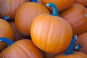 arancia zucche per Halloween o ringraziamento a il mercato foto