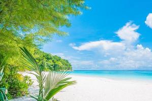 bellissimo sfondo spiaggia tropicale foto