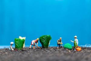 giardinieri in miniatura che raccolgono verdure, concetto agricolo foto