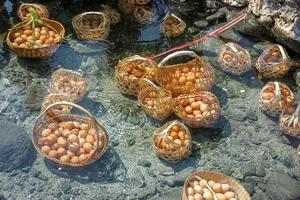 avvicinamento e Ritaglia pollo uova nel cestino di turisti bollito nel minerale e naturale caldo acqua a chae figlio nazionale parco, lampang, Tailandia. foto