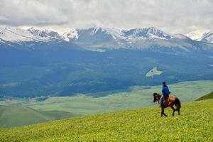 il cavalli su il kalajun prateria nel xinjiang . foto