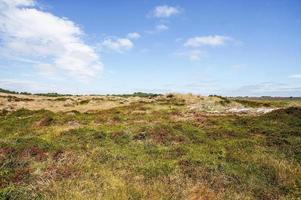 paesaggio nel Svezia, Europa foto