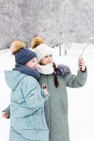 Due sorridente ragazze nel caldo cappotti e cappelli prendere un' autoscatto su un' smartphone nel un' nevoso inverno parco. stile di vita uso di tecnologia. verticale Visualizza foto