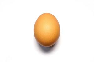 vicino su di Marrone pollo uovo isolato su bianca sfondo. flatlay uno Pasqua uovo. superiore Visualizza singolo gallina crudo uovo. naturale nutrizione cibo. salutare ingrediente pasto proteina Prodotto. foto