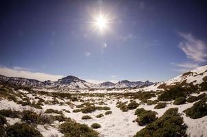 paesaggio montano innevato foto