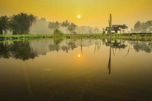 bellissimo mattina Visualizza Indonesia. panorama paesaggio risaia i campi con bellezza colore e cielo naturale leggero foto