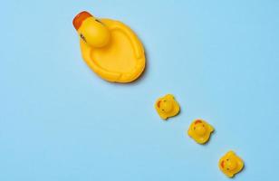 giallo gomma da cancellare anatre su un' blu sfondo, figli di giocattolo, superiore Visualizza foto