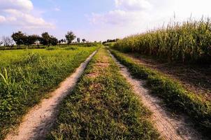 strada in campagna foto