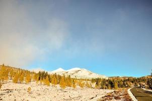 paesaggio montano innevato foto